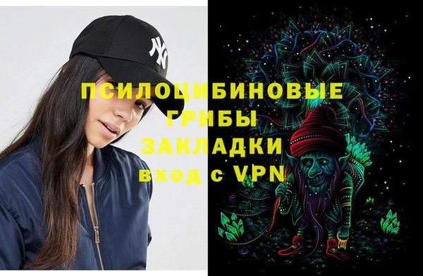 PSILOCYBIN Медногорск