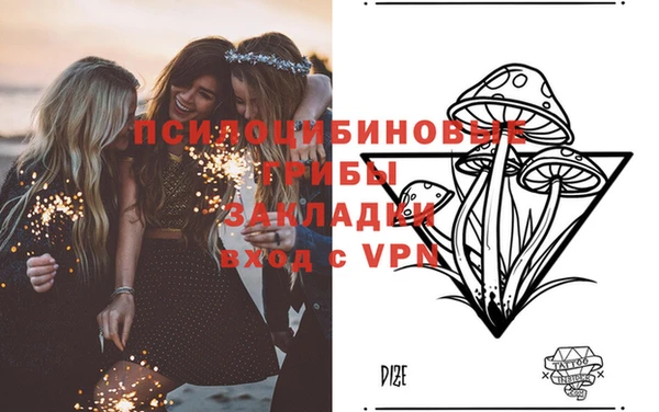 кокс Мегион